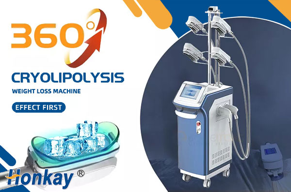 5 handles 360 cryolipolysis fat freezing machine CRY905S