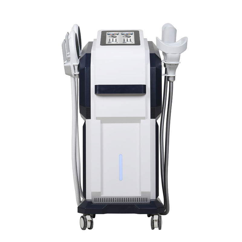 2 in 1 360 Cryolipolysis EMS Body Shaping Machine