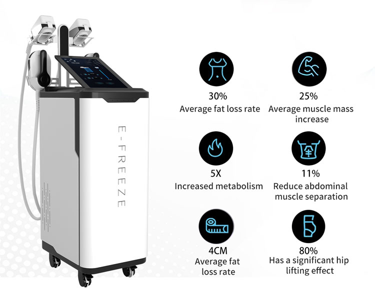 20ml headspace vial2 in 1 Cryotherapy Ems Slimming Machine Beauty Machine Price